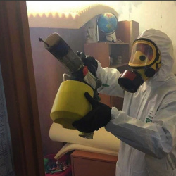 Уничтожение клопов в квартире. Саянск